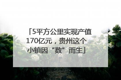 5平方公里实现产值170亿元，贵州这个小镇因“数”而生