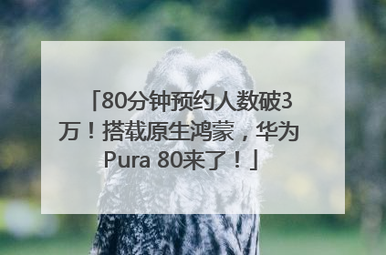 80分钟预约人数破3万！搭载原生鸿蒙，华为Pura 80来了！