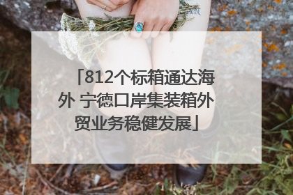 812个标箱通达海外 宁德口岸集装箱外贸业务稳健发展