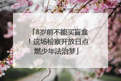 8岁前不能买盲盒！这场检察开放日点燃少年法治梦
