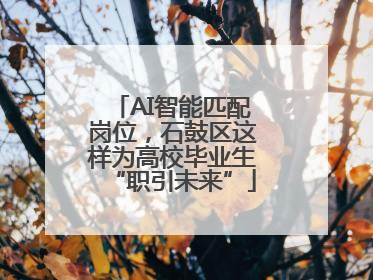 AI智能匹配岗位，石鼓区这样为高校毕业生“职引未来”