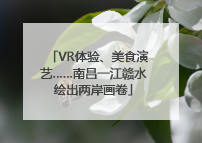 VR体验、美食演艺……南昌一江赣水绘出两岸画卷