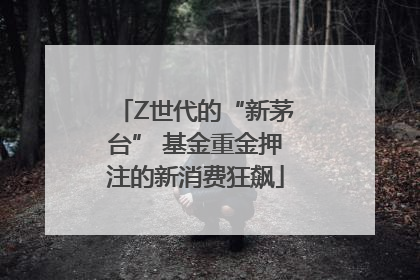 Z世代的“新茅台” 基金重金押注的新消费狂飙